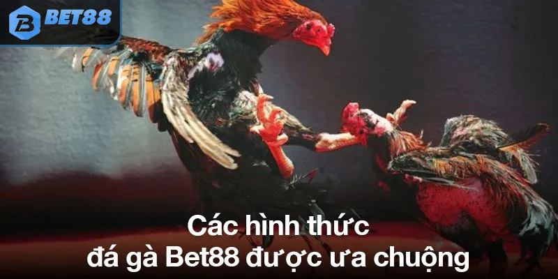 Các hình thức đá gà Bet88 được ưa chuộng